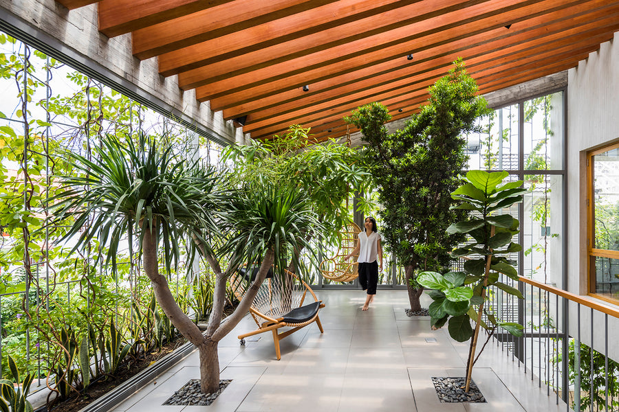 Biophilic Design – One of the Most Significant Design Trends of 2020