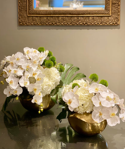 S59 - Modern Series Design - White Phalaenopsis Orchids and Hydrangea Arrangement - Flowerplustoronto