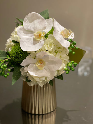 S2 - Modern White Orchid Phalaenopsis Arrangement - Flowerplustoronto