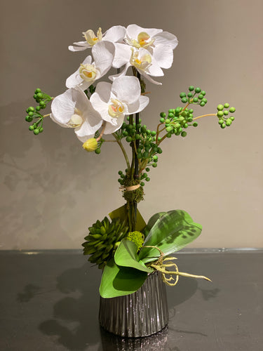 S4 - Modern White Phalaenopsis Orchid Arrangement - Flowerplustoronto