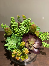 Load image into Gallery viewer, S38 - Succulent Arrangement - Flowerplustoronto
