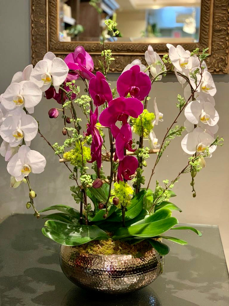 P12 - Luxurious Orchid Arrangement - Flowerplustoronto