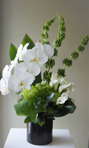 C9 - Modern Phalaenopsis Arrangement - Flowerplustoronto