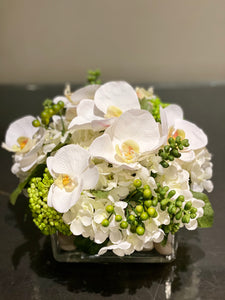 S56 - Modern White Phalaenopsis Orchid Arrangement - Flowerplustoronto