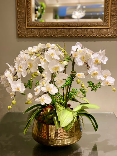 S65 - White Phalaenopsis Arrangement - Flowerplustoronto