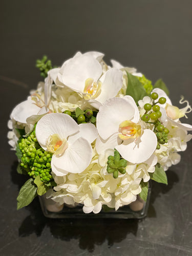 S56 - Modern White Phalaenopsis Orchid Arrangement - Flowerplustoronto