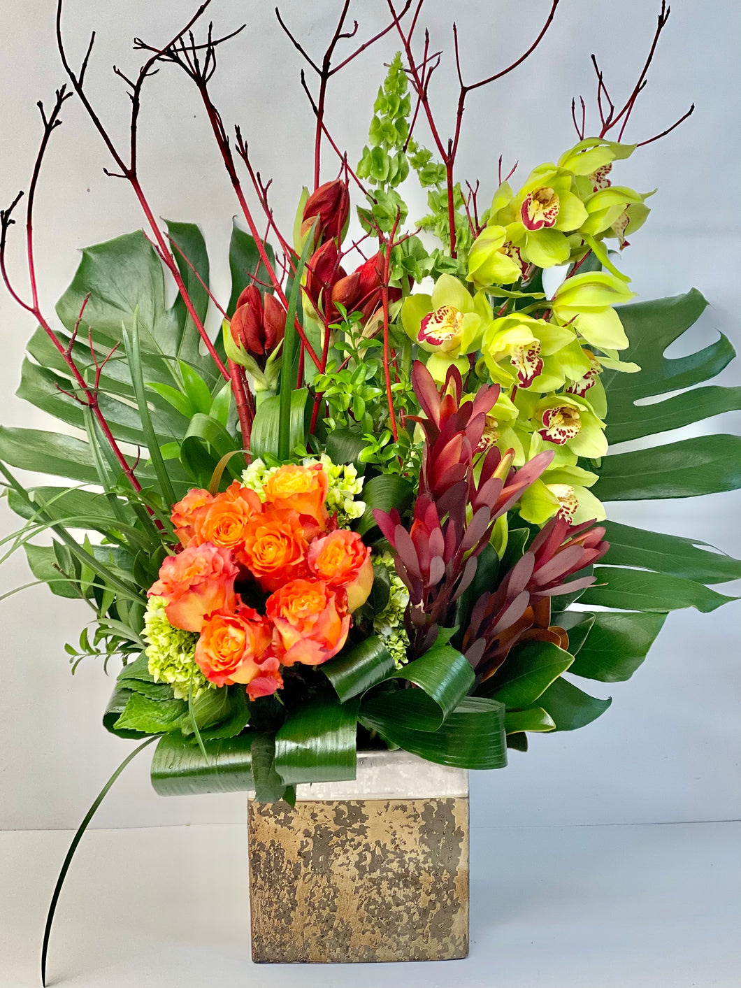 F116 - Modern Exotic Arrangement (Red Amaryllis sold out, will substitute) - Flowerplustoronto