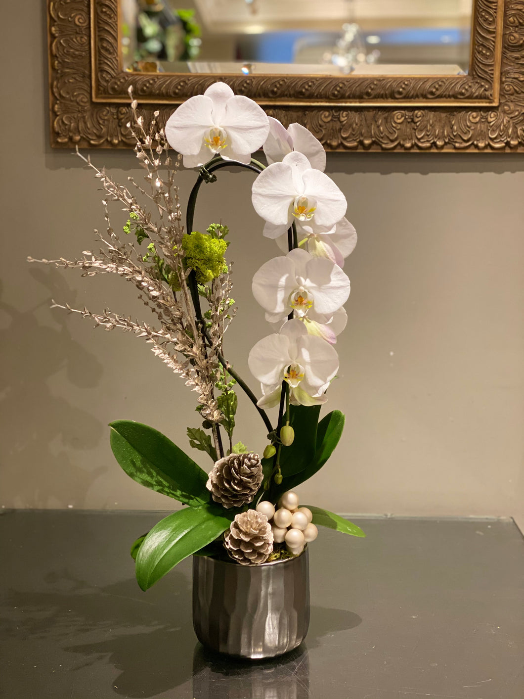 HP22- Holiday Orchid Plant - Flowerplustoronto