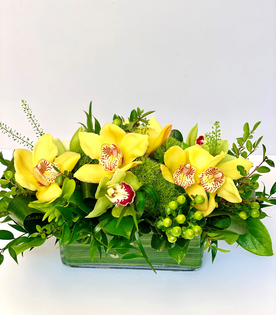 F122 -  Cymbidium Orchid Centerpiece (orchid colours based on availability) - Flowerplustoronto