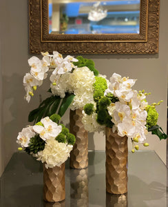 S66 - Series Design - Modern White Phalaenopsis and Hydrangea Arrangemment - Flowerplustoronto