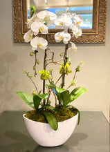 Load image into Gallery viewer, P64 - Modern Chic Phalaenopsis Orchid Planting - Flowerplustoronto
