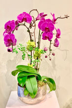 Load image into Gallery viewer, P62 - Elegant Purple Orchid Arrangement - pink or purple orchid, depending on availability - Flowerplustoronto
