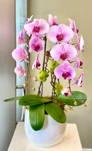 P89 - Stylish Light Pink Orchid Arrangement in Round White Planter - Flowerplustoronto