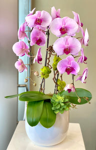 P106 - Stylish Light Pink Orchid Arrangement in Round White Planter - Flowerplustoronto