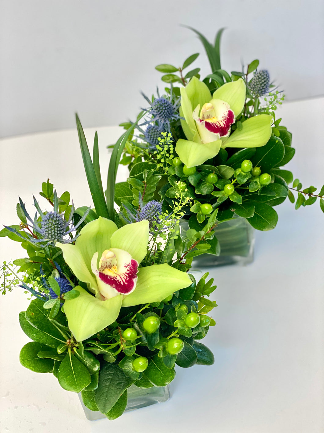 E56 - Cymbidium Orchids, price per arrangement, price per arrangement - Flowerplustoronto