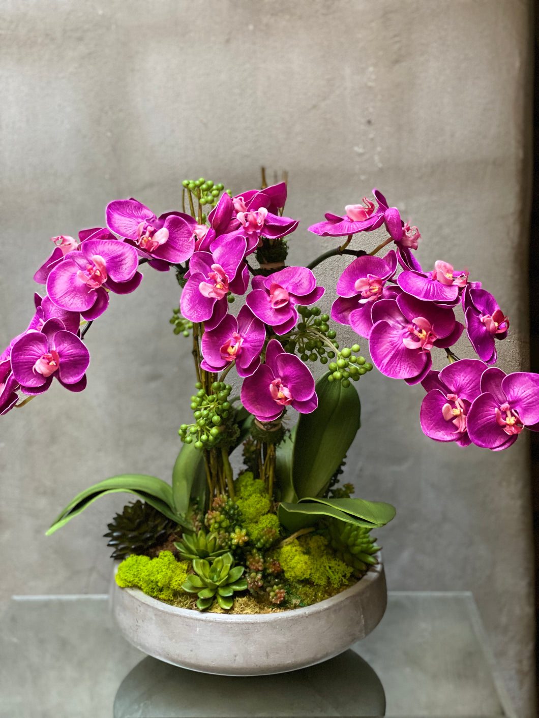 S37 - Modern Phalaenopsis Orchid Arrangement - Flowerplustoronto