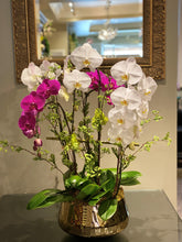 Load image into Gallery viewer, P58 - Luxurious Orchid Arrangement - Flowerplustoronto
