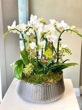 Load image into Gallery viewer, P135 - Modern Mini Orchid Arrangement in Silver Glass Planter - Large Size - Flowerplustoronto
