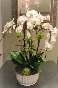P29 - Luxurious Orchid Arrangement - Flowerplustoronto