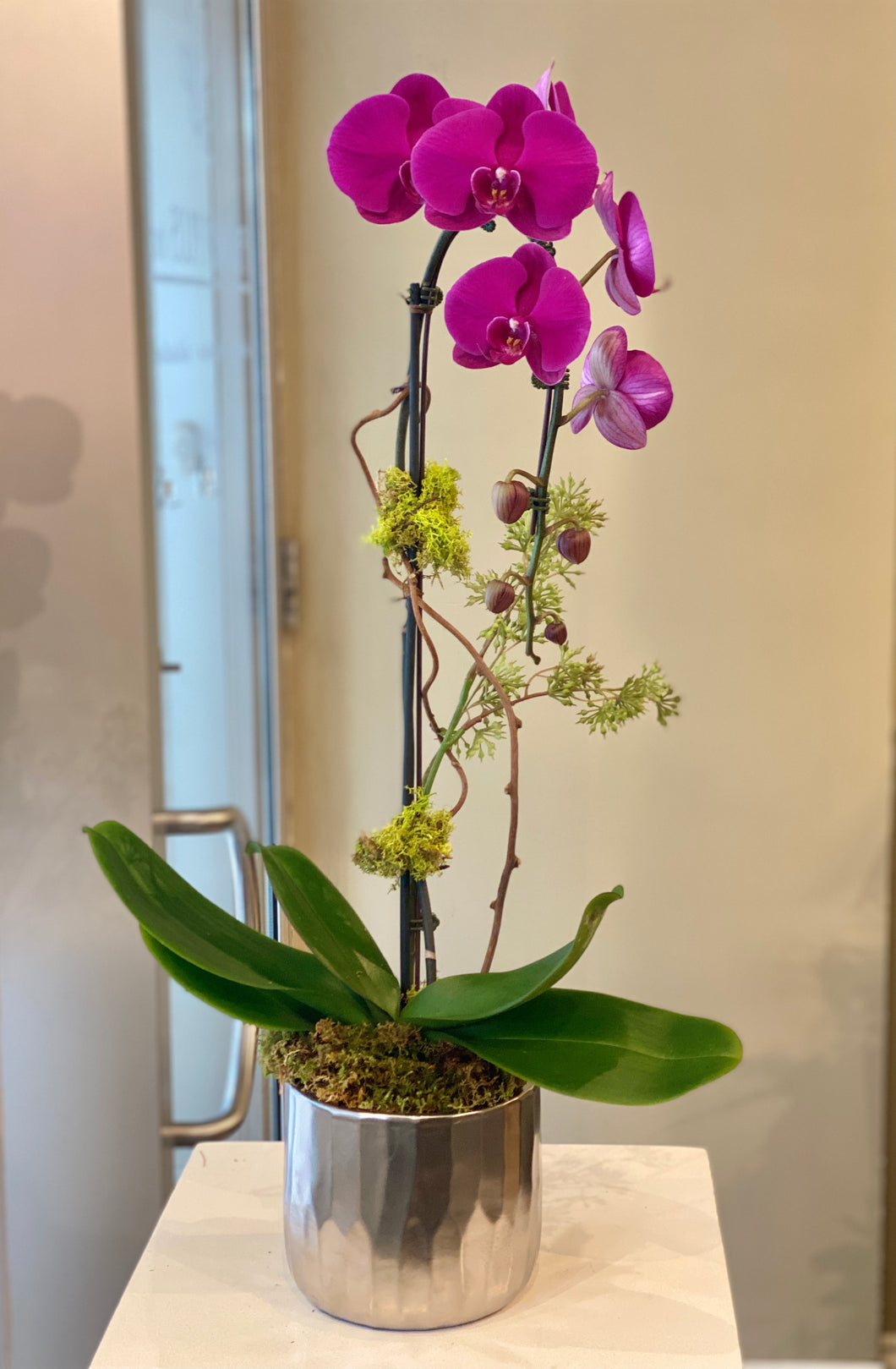 P8 - Modern Purple Orchid Plant