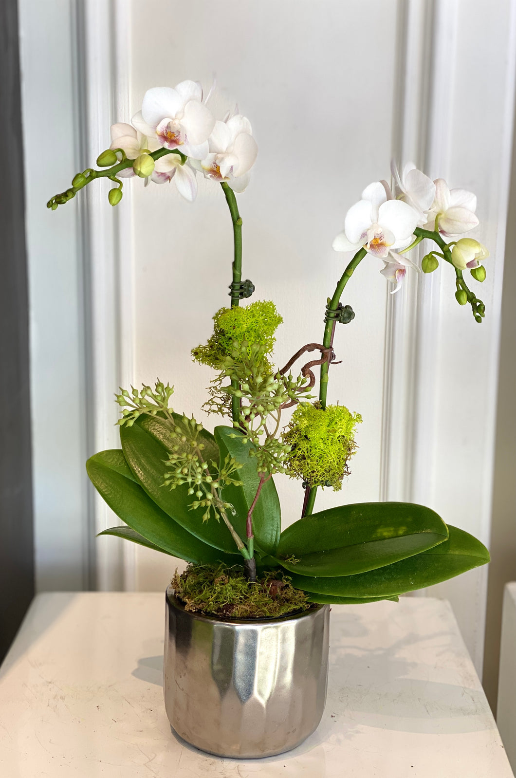 P15 - Mini White Orchid Arrangement