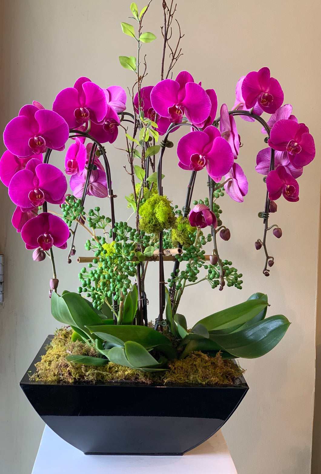 P13 - Luxurious Purple Orchid Arrangement (Orchid colour depending on availability - pink or purple or mixed colours) - Flowerplustoronto
