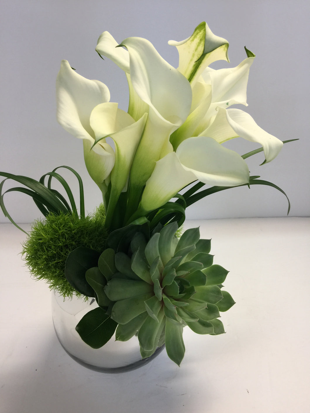 C12 - Elegant Callas accented with Succulent - Flowerplustoronto