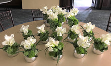 Load image into Gallery viewer, E3 -  Cruiser and Coffee Table Arrangements, price per arrangement - Flowerplustoronto
