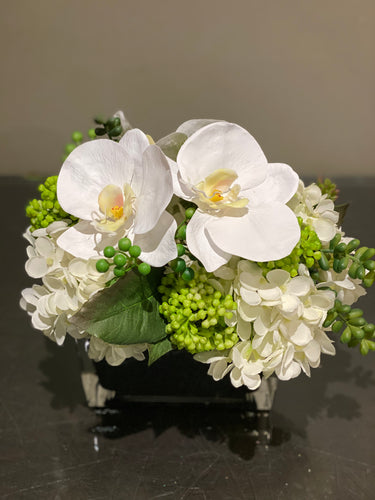 S5 - Modern White Phalaenopsis Orchid Arrangement - Flowerplustoronto
