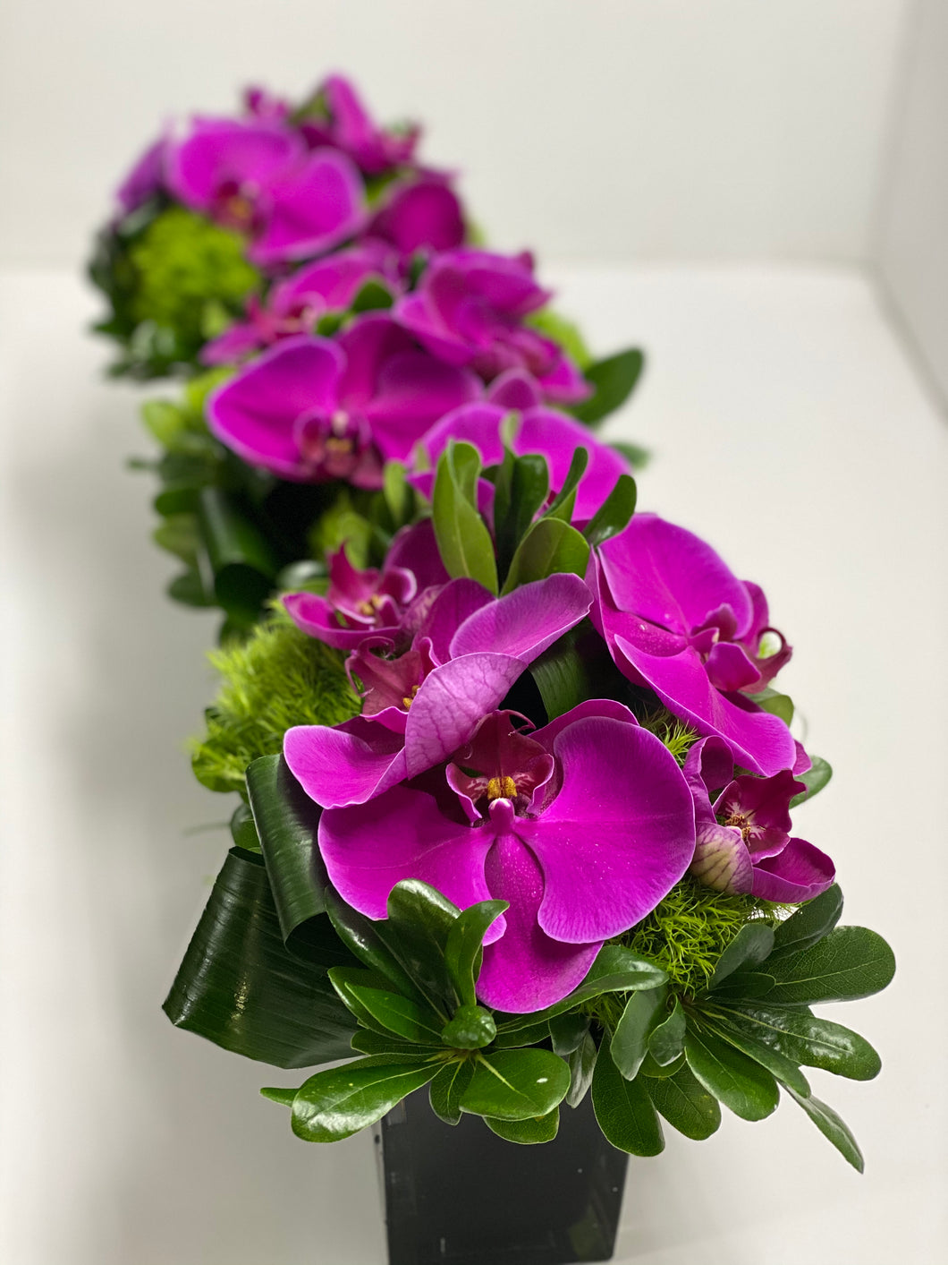 E10 - Purple Phalaenopsis Centerpieces - Series Design, price per arrangement - Flowerplustoronto