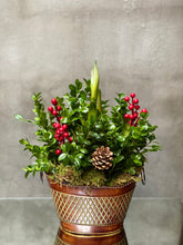Load image into Gallery viewer, HP34 - Amaryllis Plant in Classic Metal Planter
