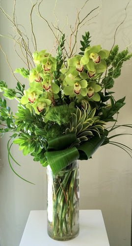 C20 - Elegant Chartreuse Cymbidium Orchids - Flowerplustoronto