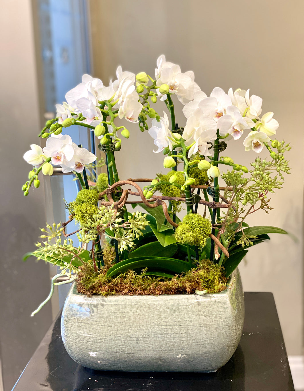 P133 - Lush Mini White Orchid Arrangement in Glazed Ceramic Planter