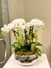 Load image into Gallery viewer, P159 - Modern Mini White Orchid Arrangement in Silver Metal Planter - Small Size
