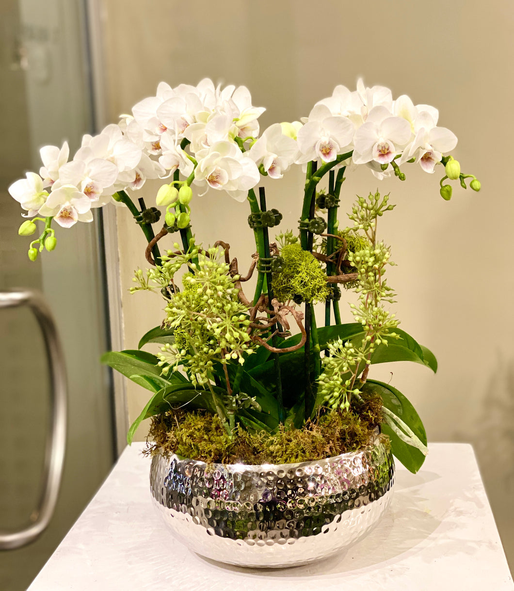 P159 - Modern Mini White Orchid Arrangement in Silver Metal Planter - Small Size