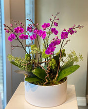 Load image into Gallery viewer, P161 - Lush Mini Purple Orchid Arrangement in White Ceramic Planter
