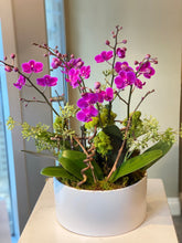 Load image into Gallery viewer, P161 - Lush Mini Purple Orchid Arrangement in White Ceramic Planter
