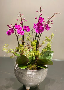 P163 - Lush Mini Purple Orchid Arrangement in Glazed Footed Ceramic Planter