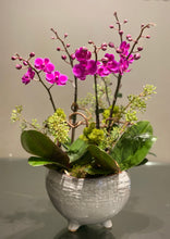 Load image into Gallery viewer, P163 - Lush Mini Purple Orchid Arrangement in Glazed Footed Ceramic Planter
