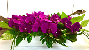 F125 - Modern Purple Phalaenopsis Centrepiece (Need 2 Weeks Notice) - Flowerplustoronto