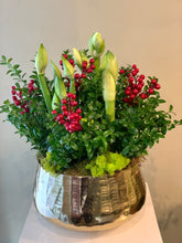 Load image into Gallery viewer, HP31 - Luxurious Arrangement of Amaryllis Plants in Gold Metal Planter
