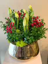 Load image into Gallery viewer, HP31 - Luxurious Arrangement of Amaryllis Plants in Gold Metal Planter
