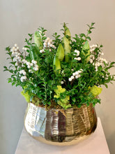 Load image into Gallery viewer, HP17 - Gorgeous Arrangement of Amaryllis Plants in Gold Metal Planter
