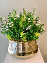 Load image into Gallery viewer, HP17 - Gorgeous Arrangement of Amaryllis Plants in Gold Metal Planter
