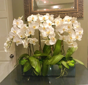 S52 - Modern White Phalaenopsis arrangement - Flowerplustoronto