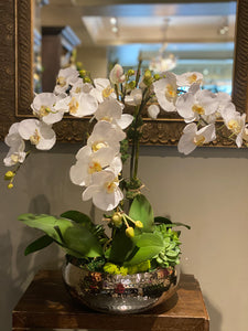 S36 - Modern White Phalaenopsis Orchid Arrangement - Flowerplustoronto