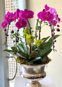 P43 - Luxurious Orchid Arrangement -Orchid colour depending on availability - white, pink, purple or mixed colours) - Flowerplustoronto