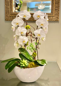 P16 - Modern Chic Phalaenopsis Orchid Planting - Flowerplustoronto