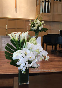 FNV74 - Modern White and Green Vase Arrangement - Flowerplustoronto