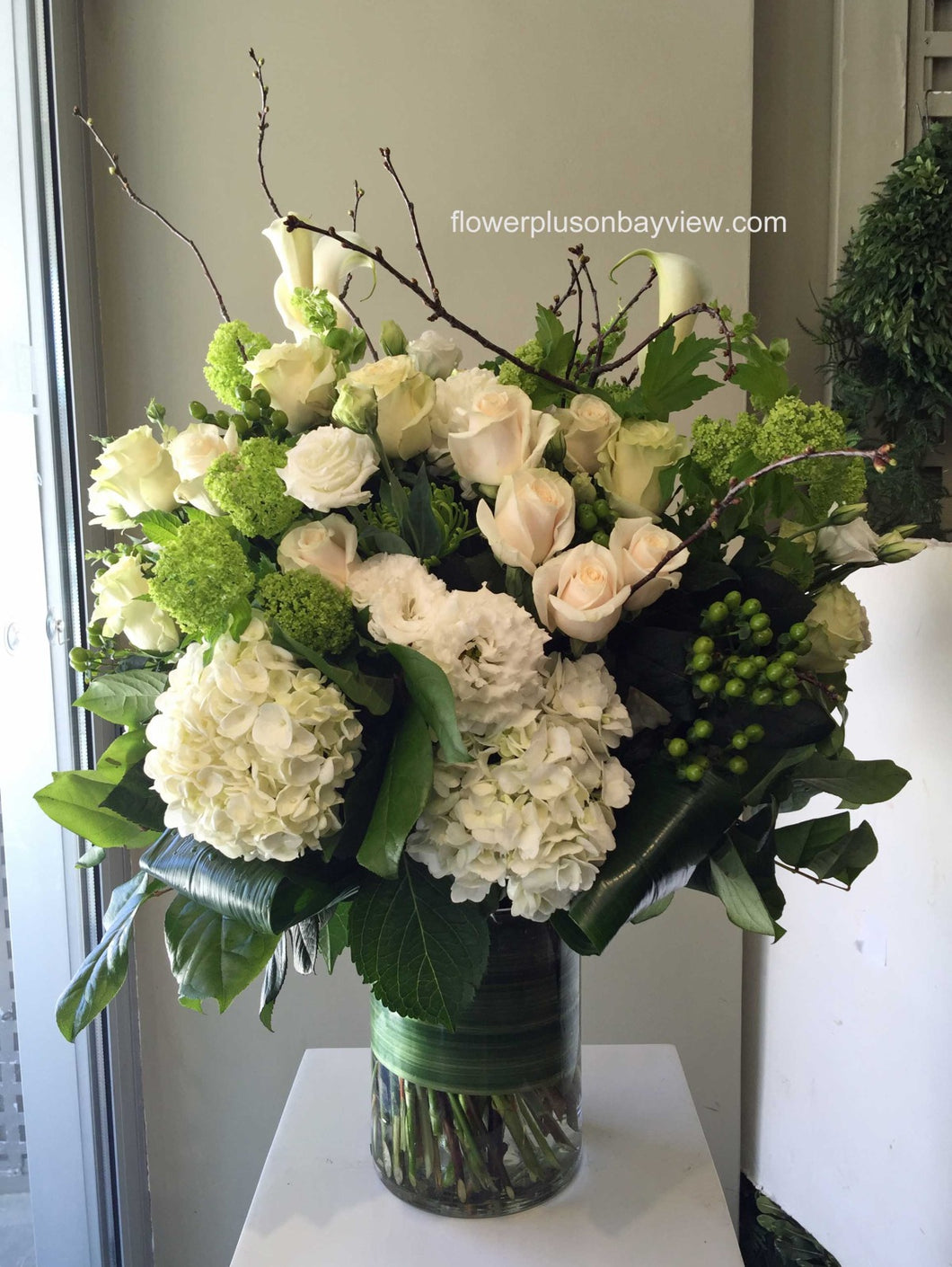 FNV84 - Elegant White and Green Vase Arrangement - Flowerplustoronto